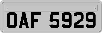 OAF5929