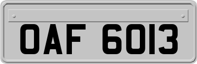 OAF6013