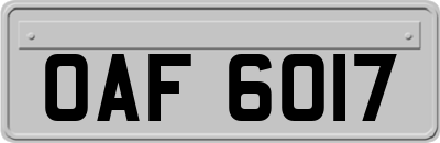 OAF6017