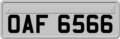 OAF6566