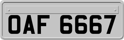 OAF6667