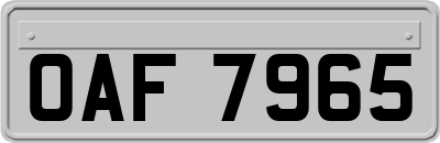 OAF7965