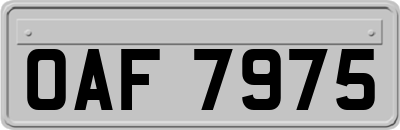 OAF7975