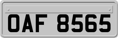 OAF8565