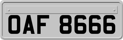 OAF8666