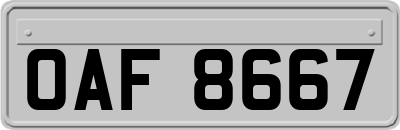 OAF8667