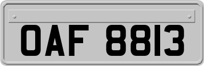 OAF8813