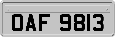 OAF9813