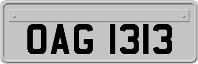 OAG1313