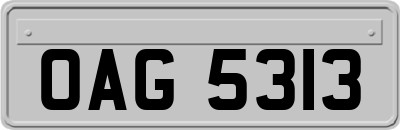 OAG5313