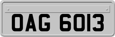 OAG6013