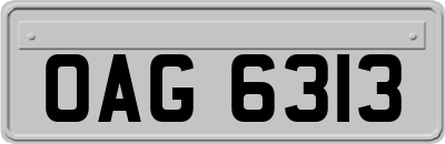 OAG6313