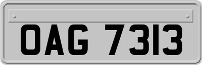 OAG7313
