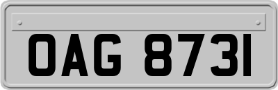OAG8731