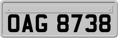 OAG8738