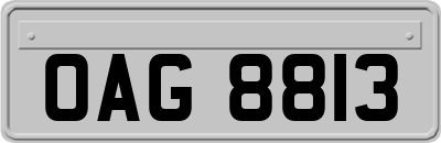OAG8813