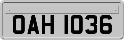 OAH1036