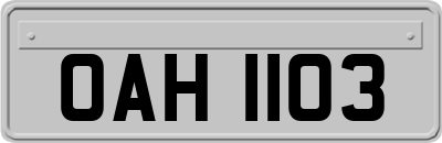 OAH1103
