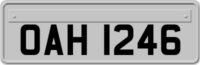 OAH1246