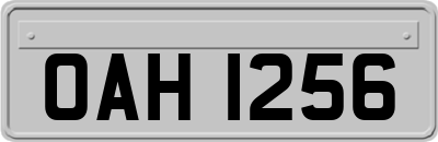 OAH1256