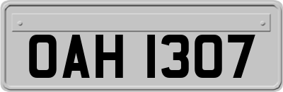 OAH1307