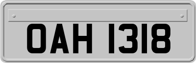 OAH1318