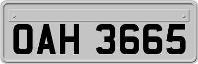 OAH3665