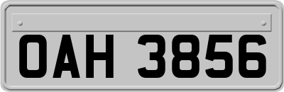 OAH3856