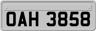 OAH3858