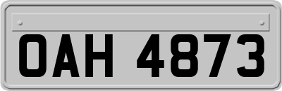 OAH4873