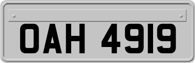 OAH4919