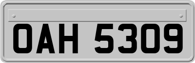 OAH5309