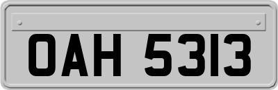 OAH5313