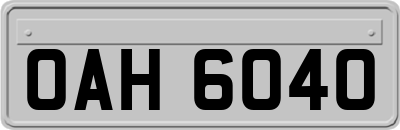 OAH6040