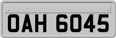 OAH6045