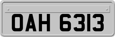 OAH6313