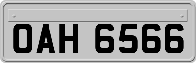 OAH6566