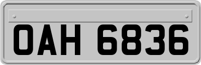 OAH6836