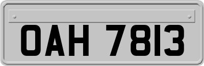 OAH7813