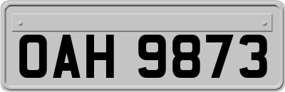 OAH9873