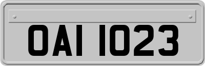 OAI1023