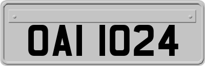 OAI1024