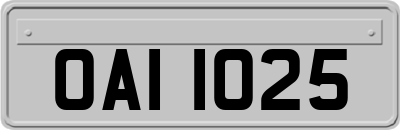 OAI1025
