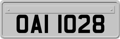OAI1028