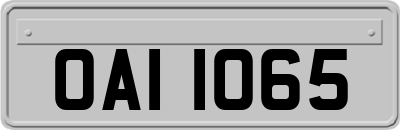 OAI1065
