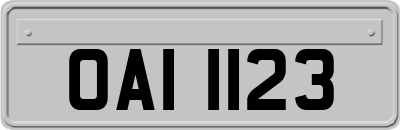 OAI1123