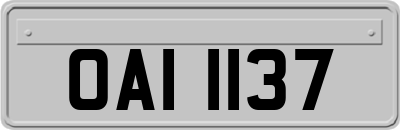 OAI1137