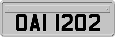 OAI1202
