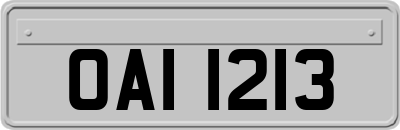 OAI1213