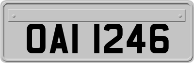 OAI1246